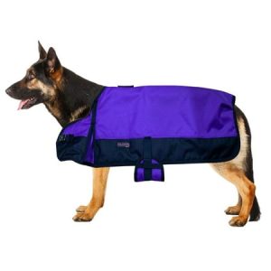 70AD XXS Hilason 200 gsm 600D Winter Turnout Waterproof Dog Blanket Purple