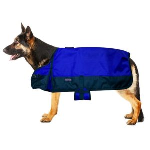78AD Medium Hilason 200 gsm 600D Winter Turnout Waterproof Dog Blanket Royal Blue
