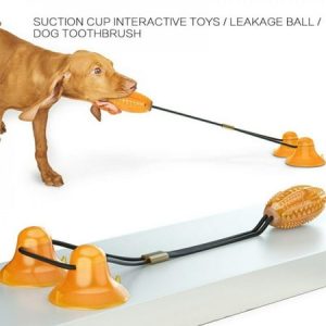 [Big Save!] Dog Toys Pet Sucker Missing Molars Double Interactive Suction Cup TPR Ball Ellipse Elastic Ropes Tooth Cleaning Chewing