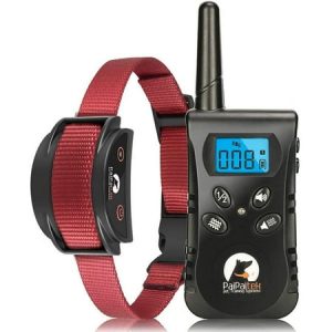 PaiPaitek No Shock Dog Training Collar with Remote Lightest Vibration Collar for Small Dogs bs & Medium Large Dogs Rechargeable Waterproof 1600ft Range No Prongs Red