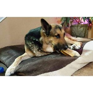 Tibetan Dog Chew Yak Cheese Sticks Natural Handmade Treats for Extra Large Dogs LongLasting and Easy to Digest with No Additives Rawhide Grains or Gluten Perfect for Aggressive Chewers 2 lb. Bulk